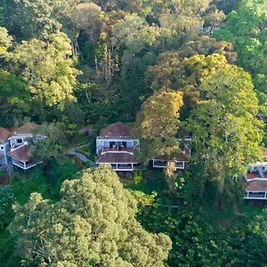 4* Station touristique The Tall Trees